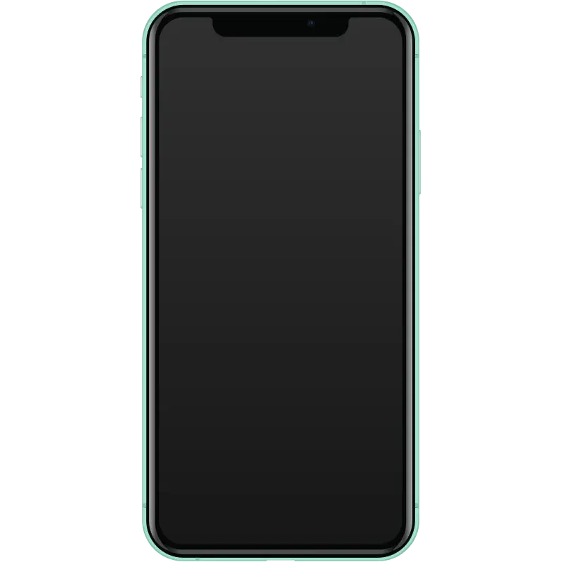 Apple iphone 11 (stock photo of this model, not this device)